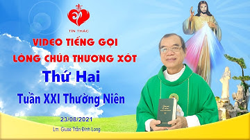 VIDEO Tiếng Gọi Lòng Chúa Thương Xót | Thứ Hai - 23/08/2021 | Lm Giuse Trần Đình Long