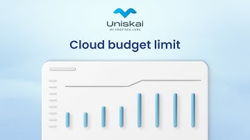 How to set a budget limit on Uniskai by Profisea Labs platform. Tutorial video for beginners