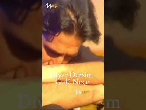 Diyar Dersim - Gulê Neçe.  #kurdi #muzik #türkü #helbest #klip #bestkurdishdancemusic #müzik