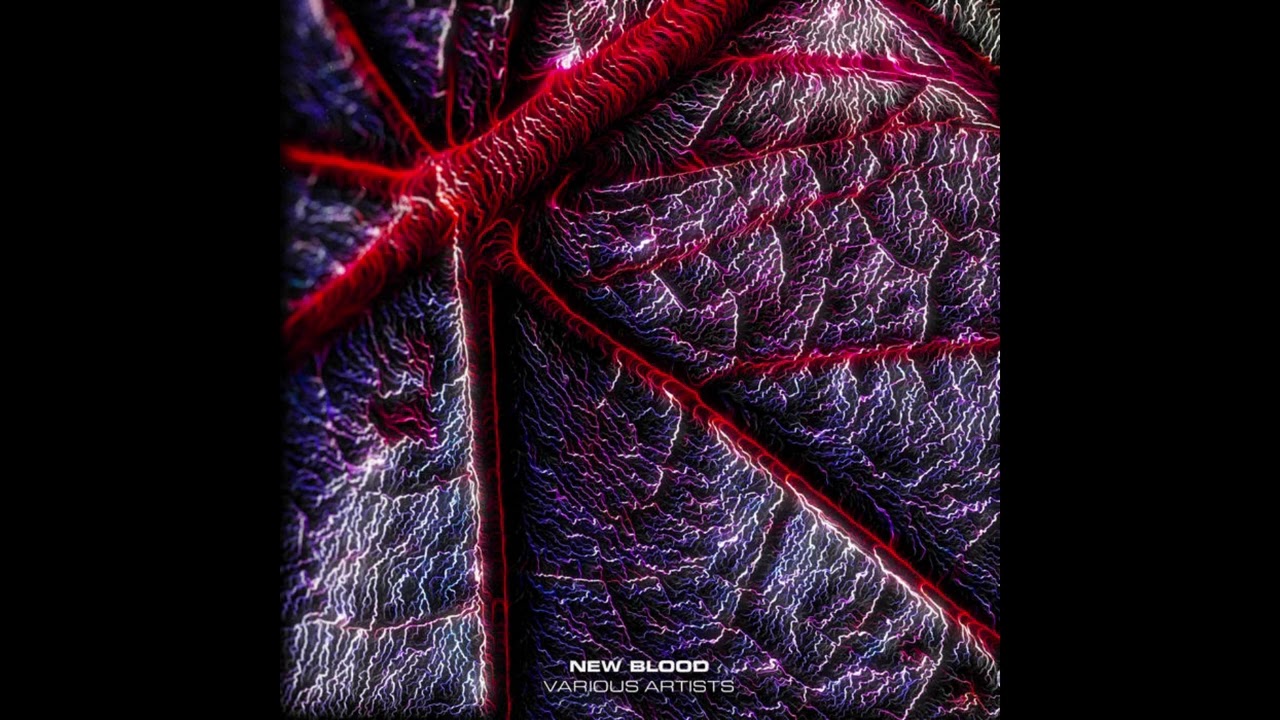 Watch Sicion - Division Orb on YouTube Watch Sicion - Division Orb on YouTube