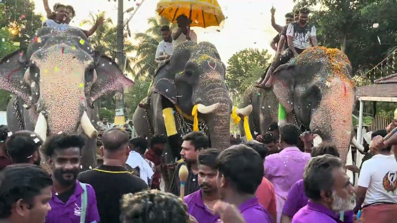 Gaja sweekaranam aduputty palli 2024