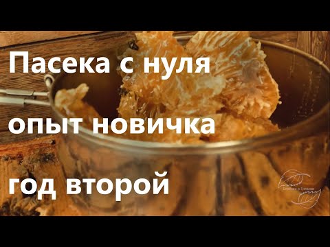 Как начать пасеку 2. Достижения и ошибки второго года пасеки.