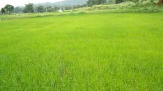 Sugam Sugame