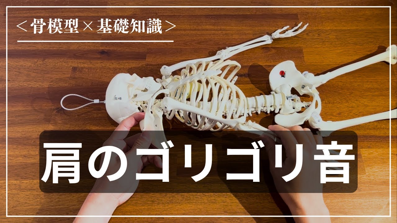 【ゴリゴリ音】どうして肩を回すとゴリゴリ音がするの？原因と解消方法について