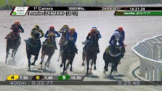 Vidéo de la course PMU PREMIO ZAMARRO