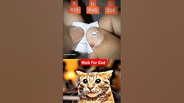 Guess The Number 🗿 #cat #memes #popular #meme #trending #duet #respect #funny #viralshort #latest