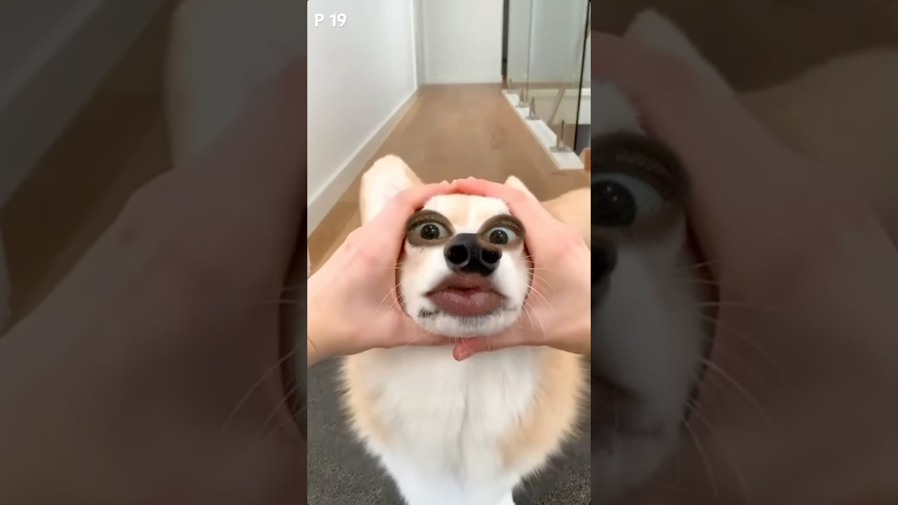 Funny face challenge part 19 