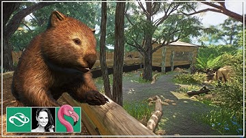 Building a Stunning Common Wombat Habitat in Franchise Mode