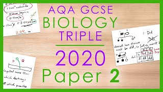 AQA GCSE Triple - Biology 2020 Paper 2 - Separate Science HT Past Paper