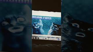 #numa English Effects