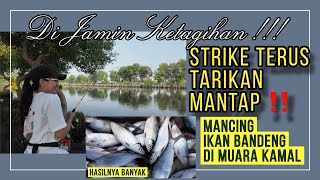 MANCING IKAN BANDENG di Muara Kamal , Tempat nya Adem Tarikan Mantap Di Jamin Strike Terus ‼️