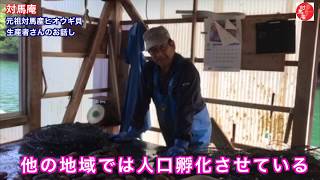 【対馬庵】長崎県対馬産天然「元祖ヒオウギ貝」生産者紹介