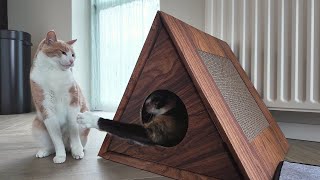 A Cat Scratcher Or Playhouse? Or Maybe Both?