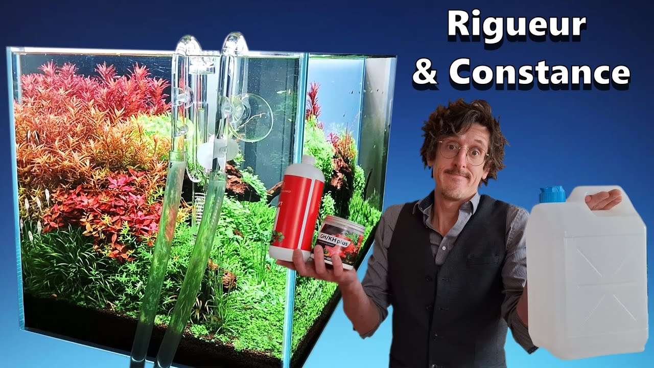 Maîtrise de l'Aquascaping: Comment RÉUSSIR l'équilibrage PARFAIT (TUTORIEL partie 2)