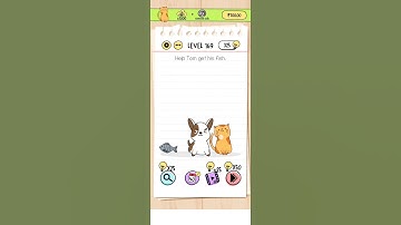 brain test level 169