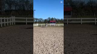 Vores sidste undervisning i dag:( #equestrianjourney #horse #equestrian #pony #fail #riding