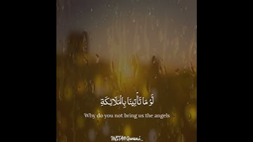 القارئ ياسر الزيلعي/سورة الحجر/🌺