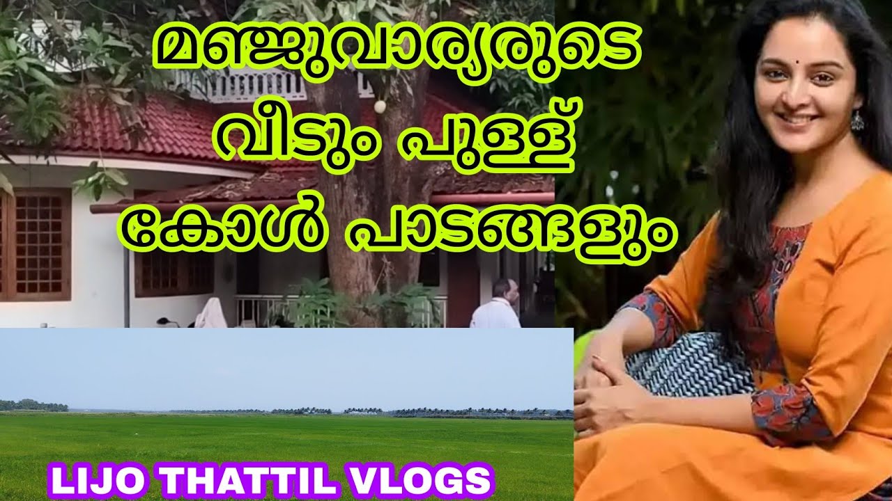 PULLU PADAM THRISSUR പുള്ള് കോൾ പാടം #lijothattilvlogs