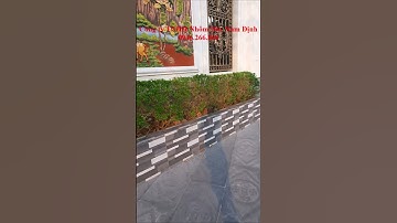 Cổng nhôm đúc hoa lá tây