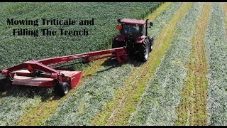Life on the farm  Mowing and Filling the Trench with Triticale