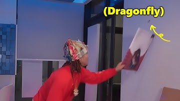 Plaqueboymax gets attacked by a bug live on stream.