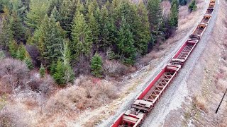 CN 2954 V Go Train & Half Empty CP 8138, CP 9816 Ajax, Ontario