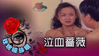 玫瑰瞳鈴眼第093 集泣血薔薇