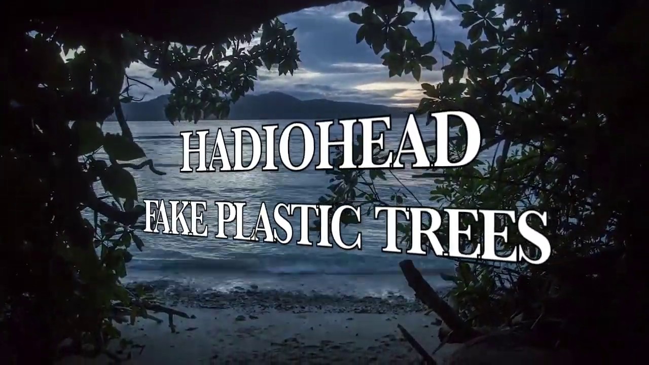 Radiohead Fake Plastic Trees (TRADUÇÃO) YouTube