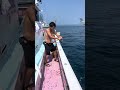 【強烈なマグロの引き】初エビング キハダマグロ #釣り #相模湾 #浜鈴丸
