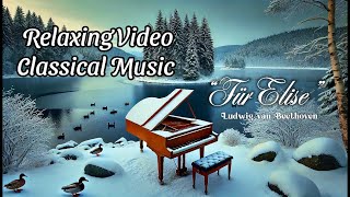 Winter Calm & Beethoven’s Für Elise | Peaceful Classical Music with Nature