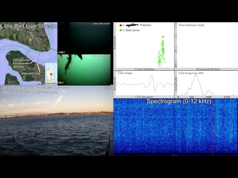 SEICHE WATER TECHNOLOGY GROUP LTD Live Stream