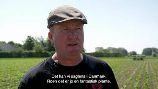 Nordic Sugar Lokaldyrket Øko Sukker