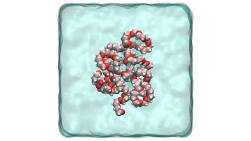 Polymer in water - simple mixture | LAMMPS input script