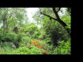 Herefordshire gardens  moors meadow garden  nr bromyard