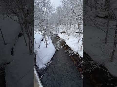 北海道芦別市雪解けの川2025年4月4日