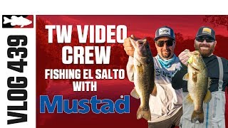 el salto fishing lures Salta MagDiver 10" High Speed Trolling Key Features Swim Jigs for Lake El
