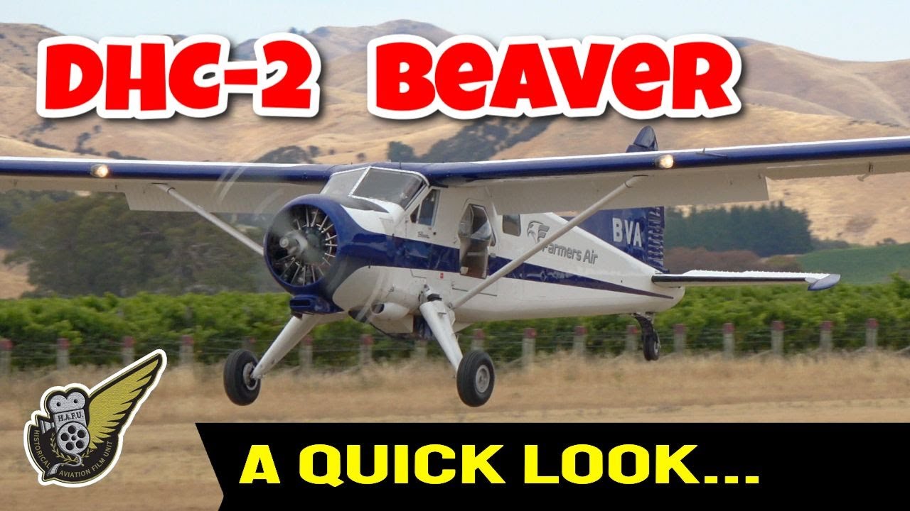 Quick Look: DHC-2 Beaver Zk-BVA