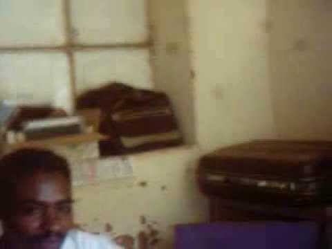 حامد المصري 