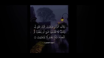 سوره القصص من ايه 8 الى 10 صوت الشيخ ياسر الدوسري