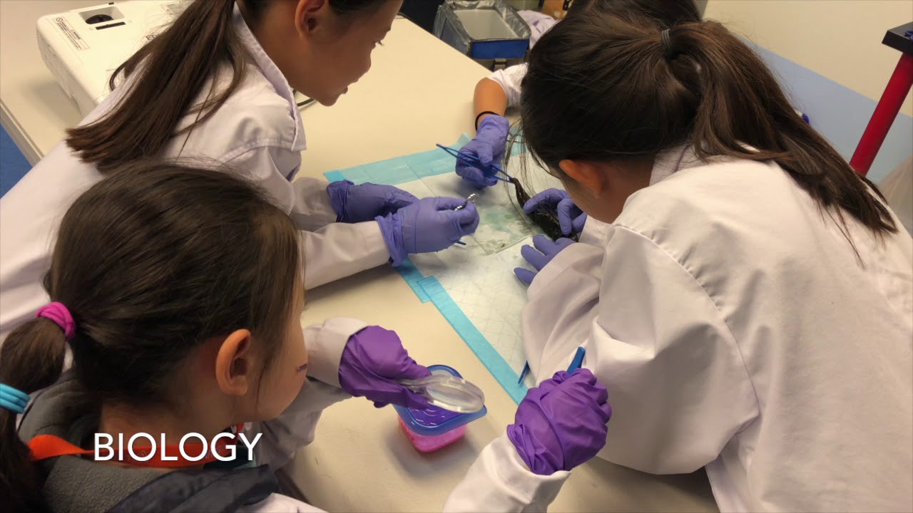 Introduction to Lyceum Village