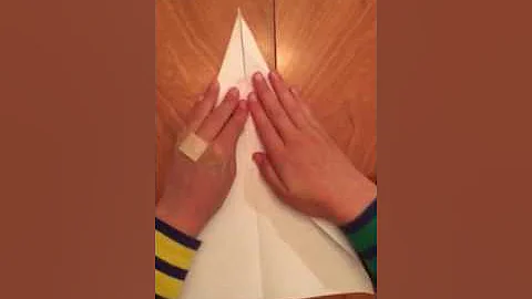 The Dart Paper Airplane