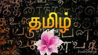 🌹TNPSC TAMIL ILAKKIYAM NEW CHANNEL 🌹 screenshot 4