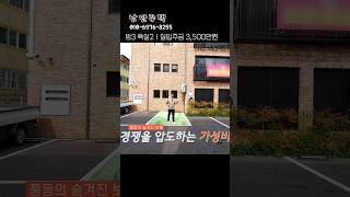 풍동 최저가 3룸~♡ #일산신축빌라 #풍동신축빌라 #풍산역빌라