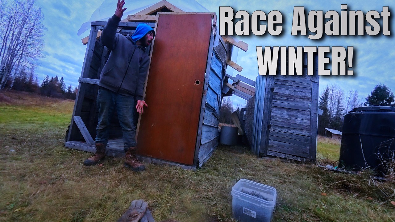 Постройте сарай своими руками до наступления зимы!