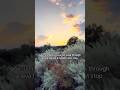 Sunset Walk Through a Lava Field | Road Trip Moment | Side Quests &amp; Dilly Dallying