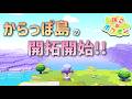 【ぽこあポケモン】からっぽ島の開拓を開始するよ! part7【ぽこポケ】