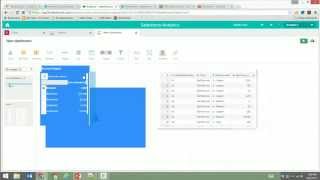 Salesforce Analytics Cloud and Wave Platform