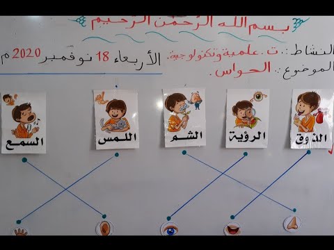 درس الحواس الخمسة بالتفصيل خطوة بخطوة لتلاميذ قسم التحضيري و الأولى ابتدائي