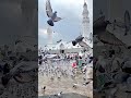 #Islamic short video