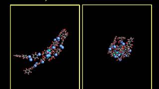 Liquid-crystal Conformations